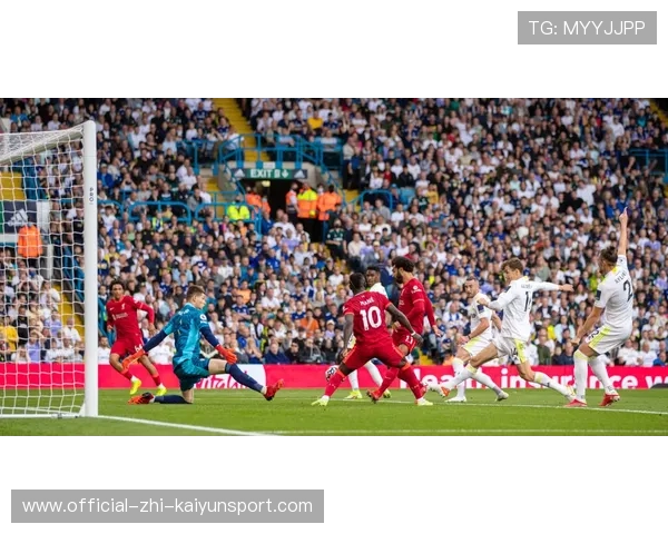 利物浦球员入选国际比赛名单，引关注，利物浦足球俱乐部球员名单