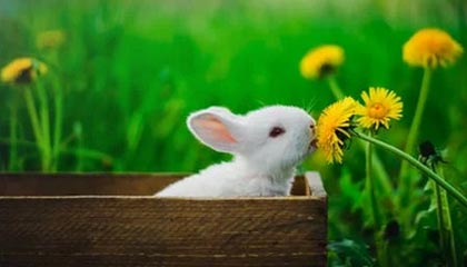 kaiyun登录入口-运动员技能竞赛奖励机制，运动员技能竞赛奖励机制是什么