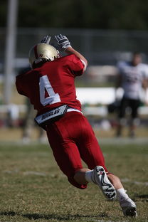 开云电竞平台注册-全国青少年跳水锦标赛在深圳火热进行，全国青少年跳水比赛