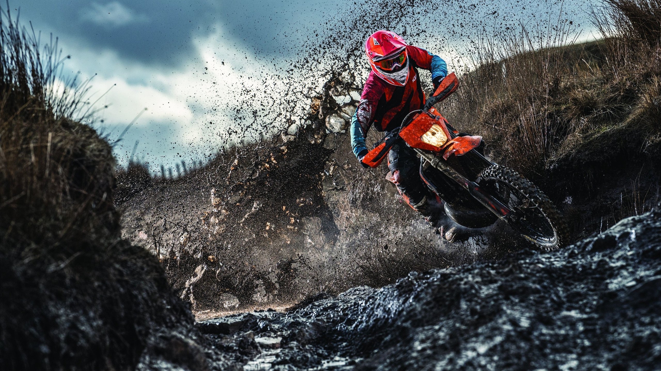 国际体育新闻中心焦点报道,国际体育十大新闻